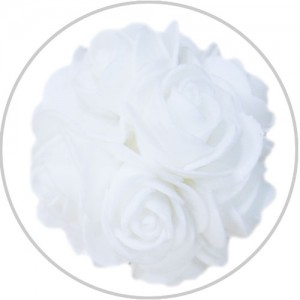 ��ǰ ������